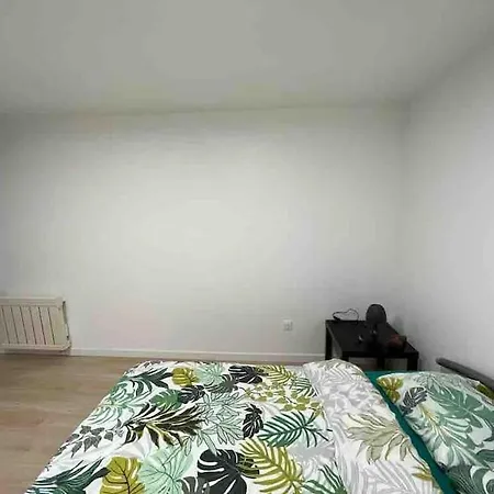 Apartman Grand Studio Pour 1 Ou 2 Personnes Schiltigheim